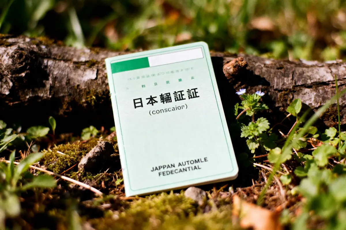 Traduction du permis de conduire pour le Japon : Comment faire ?