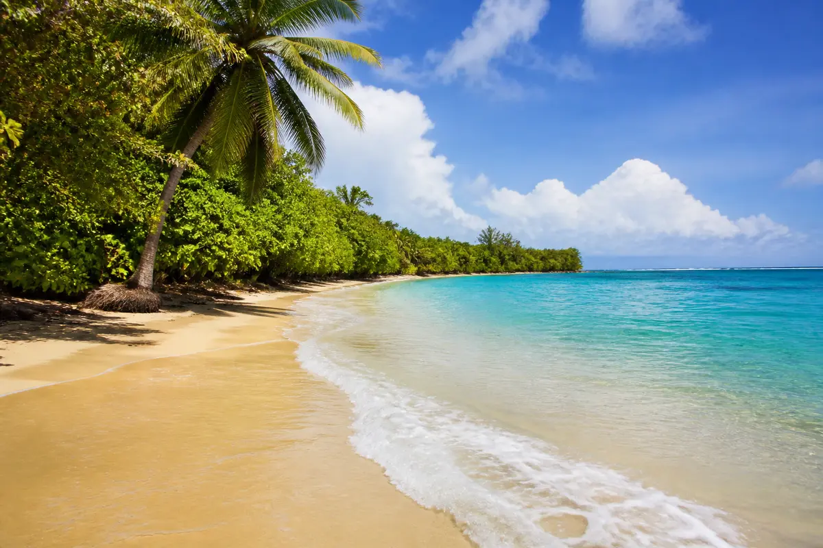 La Plage des Salines en Martinique : Guide complet à visiter