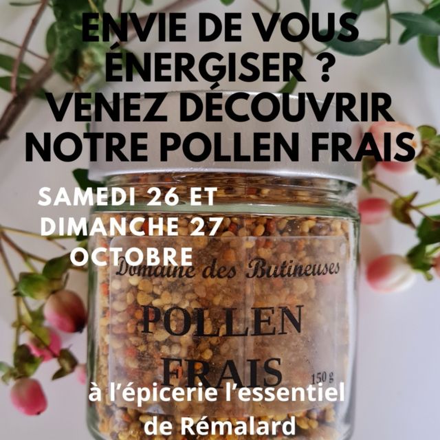quoi de mieux qu'une cure de pollen pour retrouver forme et énergie.
venez découvrir les vertus de ce merveilleux produit le 26 et 27 septembre à rémalard @lessentiel_epicerie 
#pollen #miel #apitherapie #forme #curedhiver #produitnaturel #produitslocaux