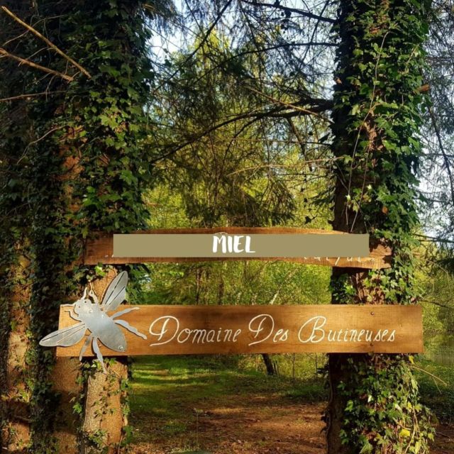 la boutique est ouverte samedi ET dimanche de 9h à 18h , mais aussi tous les jours de la semaine en nous passant un petit coup de fil...
faites vous du bien avec nos miels de cure et régalez vous avec nos miels aux fruits
06 35 90 44 09